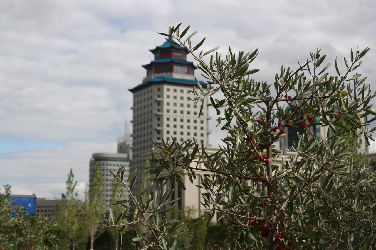 Отель Пекин Палас Soluxe Hotel Astana Нур-Султан-45